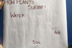 Plants Need Air Water and Soil