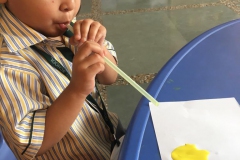 IMG-20190523-WA0074