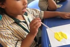 IMG-20190523-WA0075