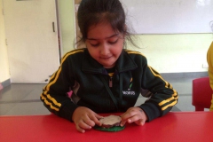 IMG-20191121-WA0012