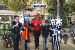 IMG-20191113-WA0018