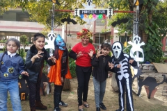 IMG-20191113-WA0029