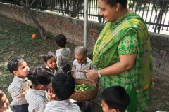 Sensory Nature Walk