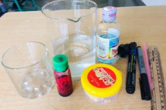 IMG-20190810-WA0254