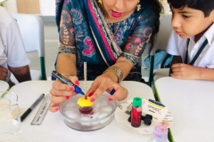 IMG-20190810-WA0263