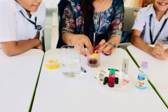 IMG-20190810-WA0265