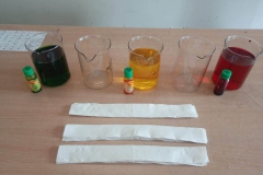 IMG-20190914-WA0016