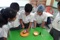 IMG-20190427-WA0052